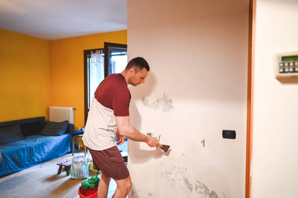 Best Insurance-Related Mold Remediation in Hopatcong, NJ